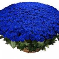 301 синяя роза в корзине R931