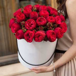 31 ветка красной пионовидной розы в коробке R183